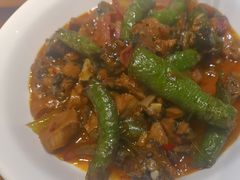 -滇铺子·云南特色菜·第九届野生菌美食节(东风东路c86店)