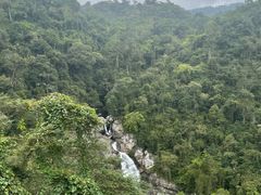 -海南热带雨林国家公园吊罗山景区