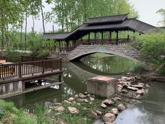 -合肥滨湖国家森林公园