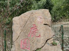 -鹿院坪生态旅游景区