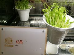 -半岛翡丽海鲜自助餐厅(观风亭店)