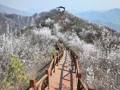 -大岭沟猕猴桃谷风景区