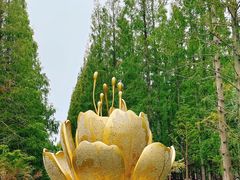 -东平国家森林公园
