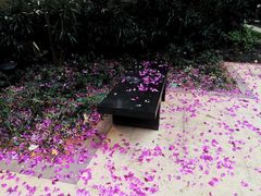 -荣和·中央公园