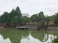 -铁山坪森林公园