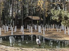 -艾溪湖湿地公园