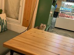 -拾壹cafe·工作室