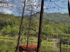 -深圳仙湖植物园