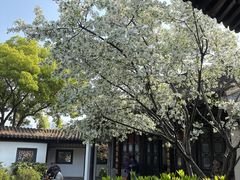 -素满香·食养自助(建邺万达店)