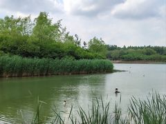 -丁香湖公园