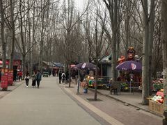 -廊坊市自然公园