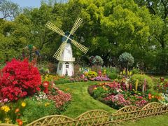 -上海共青森林公园