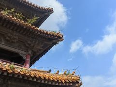 -北陵公园