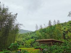 -宁波浙东大竹海景区