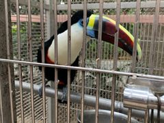 -南宫五洲植物乐园