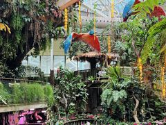 -正佳雨林生态植物园