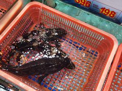 -渔民新村(番禺总店)