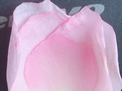 -CoCo都可(文星广场店)