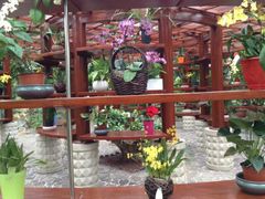 -南通洲际绿博园