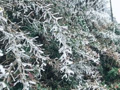 -硗碛藏寨·神木垒景区