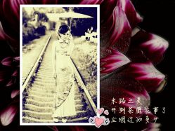 旗袍-爱摄影工作室(场中路店)