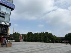 -紫荆广场·花漫里