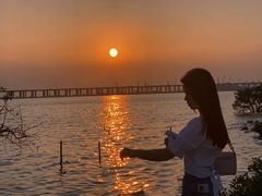 -宝安西湾红树林湿地公园