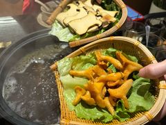 -滇野云南野生菌餐厅(陕西南路店)