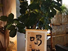 -猫屎咖啡(陶溪川店)