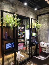 -设计先生形象设计