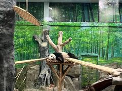 -灵玲国际马戏城