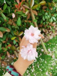 -沈阳名流美容医院