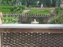 -静园(和平区)