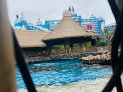 -珠海长隆海洋王国