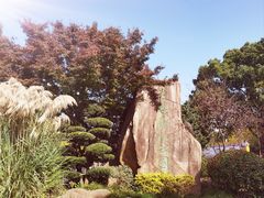 -昆山城市生态森林公园