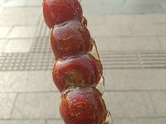 -和禄德冰糖葫芦