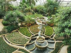 -南山植物园