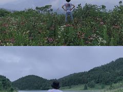 -武陵山森林公园