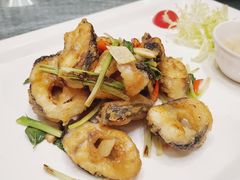 金不换煎焗白鳝-博多新记·粤菜(复兴店)