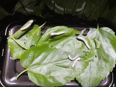 -% Arabica阿拉比卡咖啡(前滩太古里店)