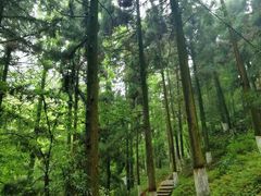 -莫干山风景区
