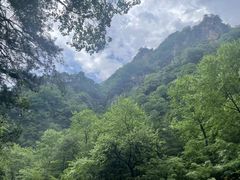 -青峰峡国家森林公园