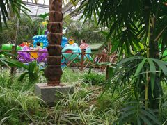 -南宫五洲植物乐园