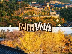 -沉浸北京·团建旅行·密室剧本杀·年会会议轰趴拓展