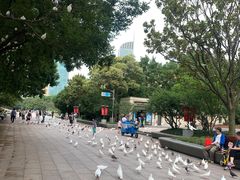 -五芳齋(云南南路店)