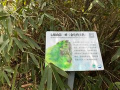 -七娘山