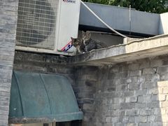 -平安桥天主教堂