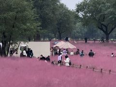 -汉长安城未央宫国家考古遗址公园