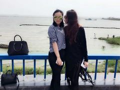 -合肥滨湖国家森林公园