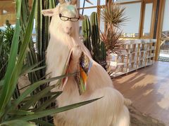 -中国天府农业博览园